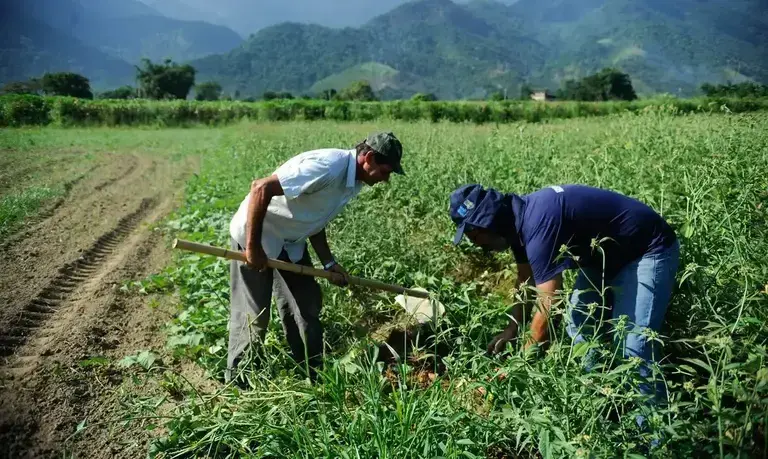 CAE aprova projeto que renegocia dívidas rurais com fundo do pré-sal